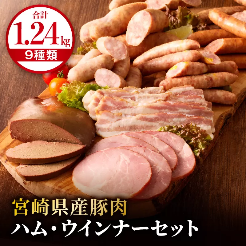 宮崎県産豚肉ハム・ウインナーセット（合計1.24kg 9種類）_M009-010