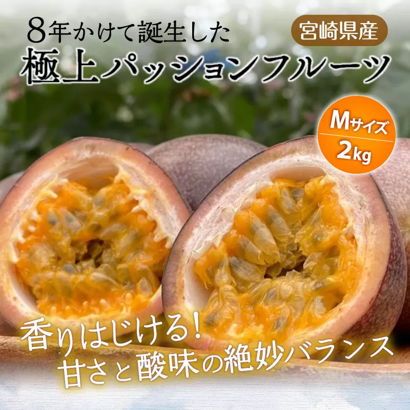 《2025年発送》【期間・数量限定】8年かけて誕生した宮崎県産極上パッションフルーツＭ　2kg_M057-004