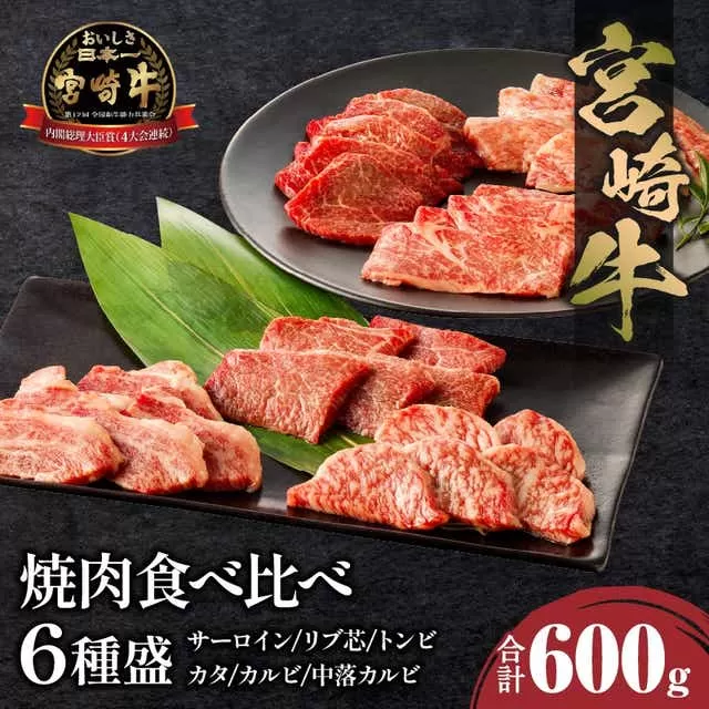 宮崎牛 焼肉食べ比べ6種盛 600g_M243-031