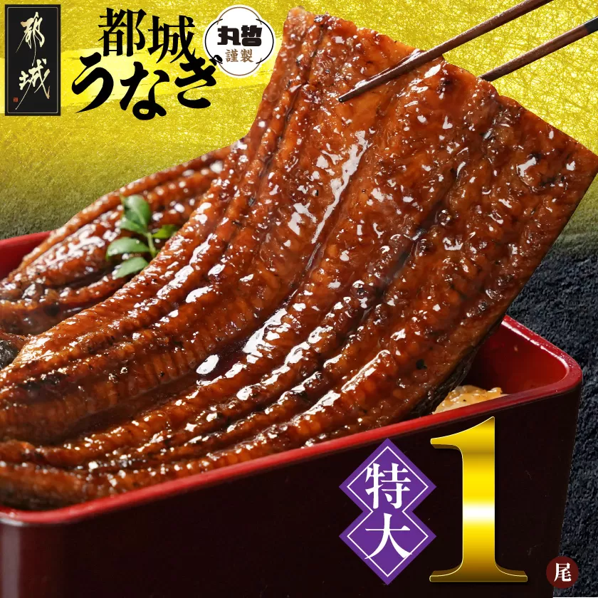 宮崎県育ちの【特大】うなぎ蒲焼1尾210g以上≪山椒・たれ付≫_11-M301