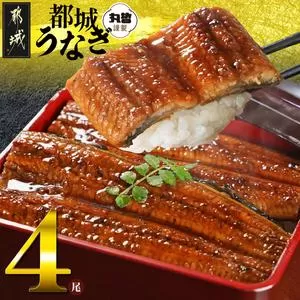 宮崎県育ちのうなぎ蒲焼4尾720g以上≪山椒・たれ付≫_AE-M301