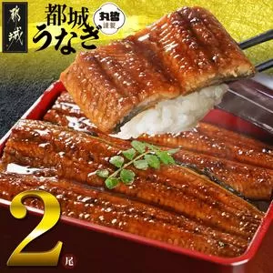 宮崎県育ちのうなぎ蒲焼2尾300g以上≪山椒・たれ付≫_13-M301