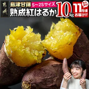 先行受付!【11月お届け】島津甘藷　熟成紅はるか 10kg(S〜2S)_12-A7-001-10kg-m-11