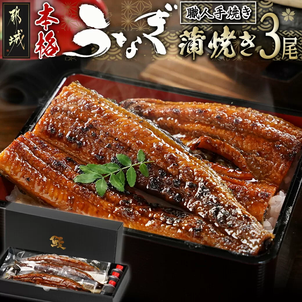 職人手焼きの本格うなぎ蒲焼き3尾_AC-3301