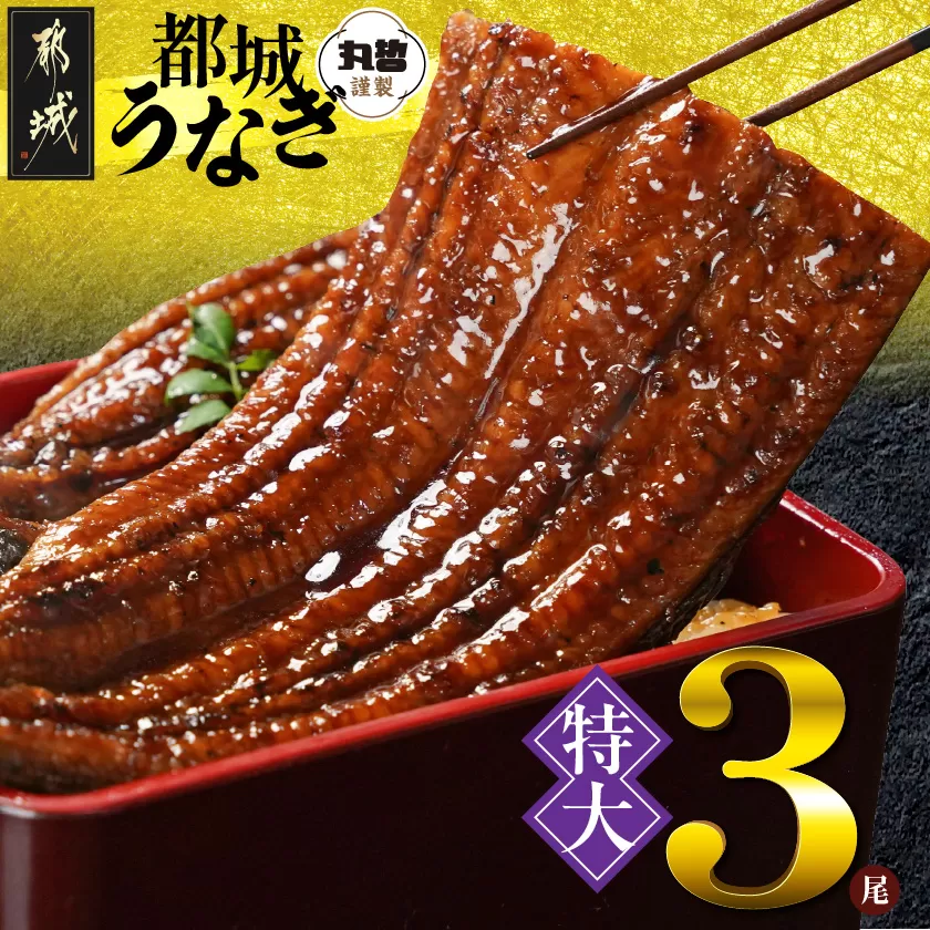 宮崎県育ちの【特大】うなぎ蒲焼3尾680g以上≪山椒・たれ付≫_29-M301