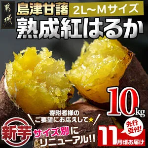 先行受付!【11月お届け】島津甘藷　熟成紅はるか 10kg(2L〜M)_12-A7-001-10kg-11