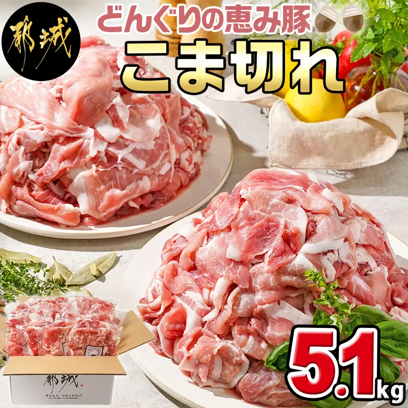 「どんぐりの恵み豚」こま切れ5.1kg_17-1103