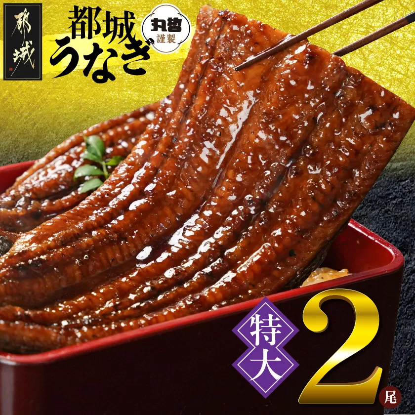 宮崎県育ちの【特大】うなぎ蒲焼2尾440g以上≪山椒・たれ付≫_18-M301