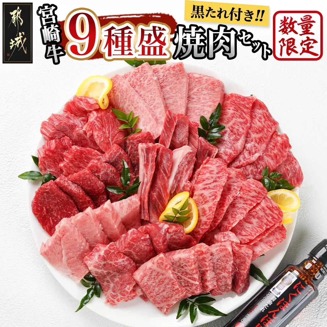 【数量限定】宮崎牛9種盛り焼肉セット_22-3101