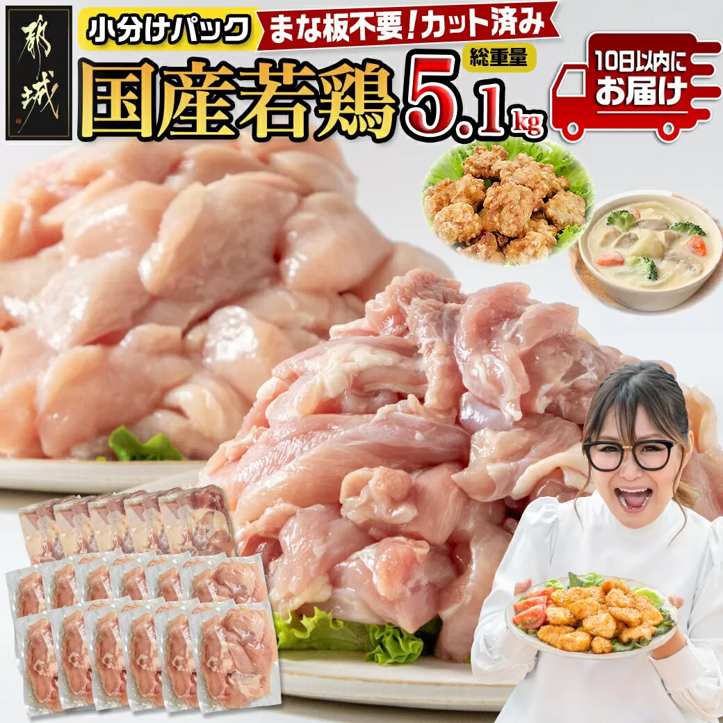 国産若鶏5.1kg 小分けパック!カット済み!(もも300g×5P・むね300g×12P)≪みやこんじょ特急便≫_MJE-3301-Q