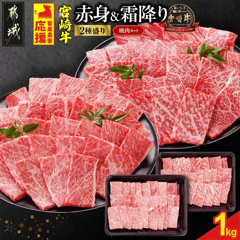 畜産農家応援! 宮崎牛焼肉2種セット500g×2パック_19E-N2-002-1000