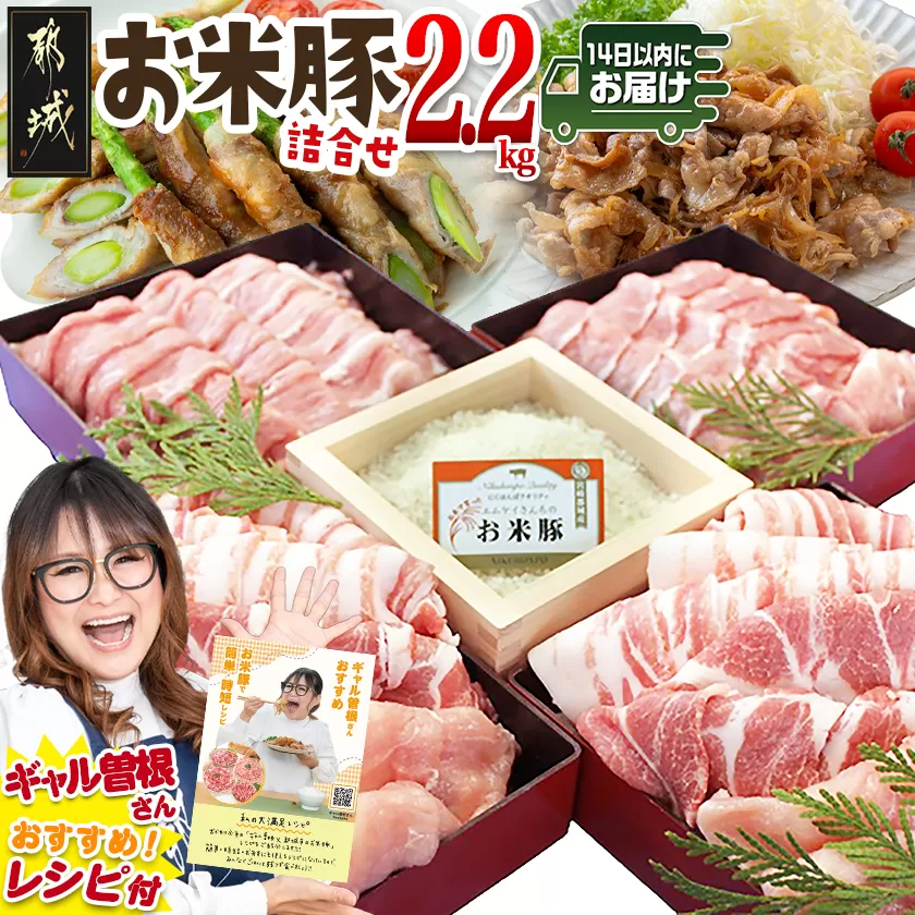 お米豚2.2kgセット≪みやこんじょ快速便≫