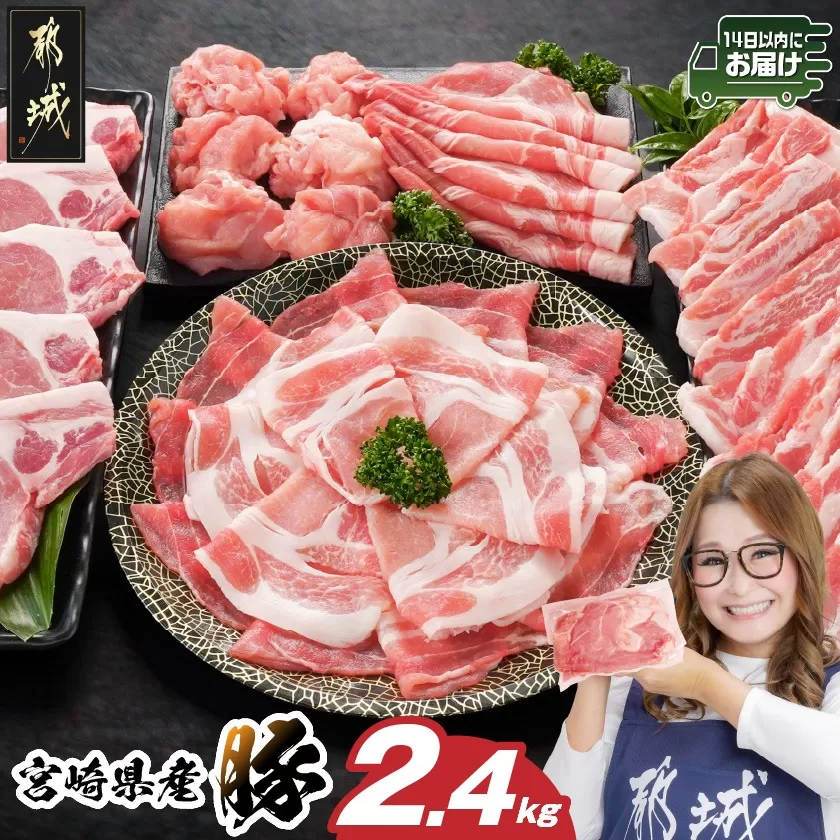 宮崎県産豚わくわく2.4kgセット(真空)≪みやこんじょ快速便≫_14-8406-s-R_(都城市) 豚肉 豚肉セット 宮崎県産豚 しゃぶしゃぶ バラ 焼肉 切り落とし 肩ローススライス ロース とんかつ ミンチ 使い勝手抜群 小分け 真空