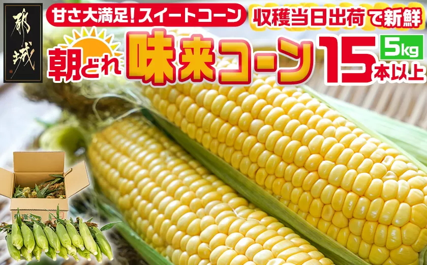 【先行受付】朝どれ!!都城産スイートコーン(味来コーン)5kg 15本以上_12-B401-6_(都城市) 朝どれ とうもろこし スイートコーン 5キロ 約15本以上 産地直送 みずみずしい あまい