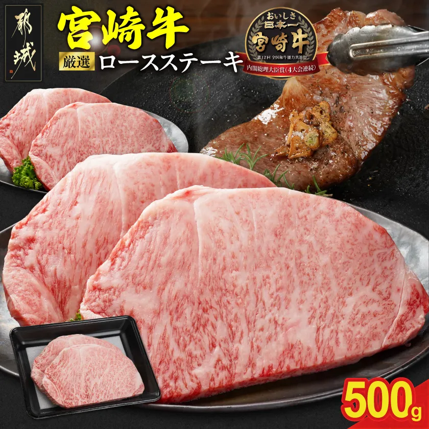 宮崎牛ロースステーキ2枚 計500g_N2-011-500g