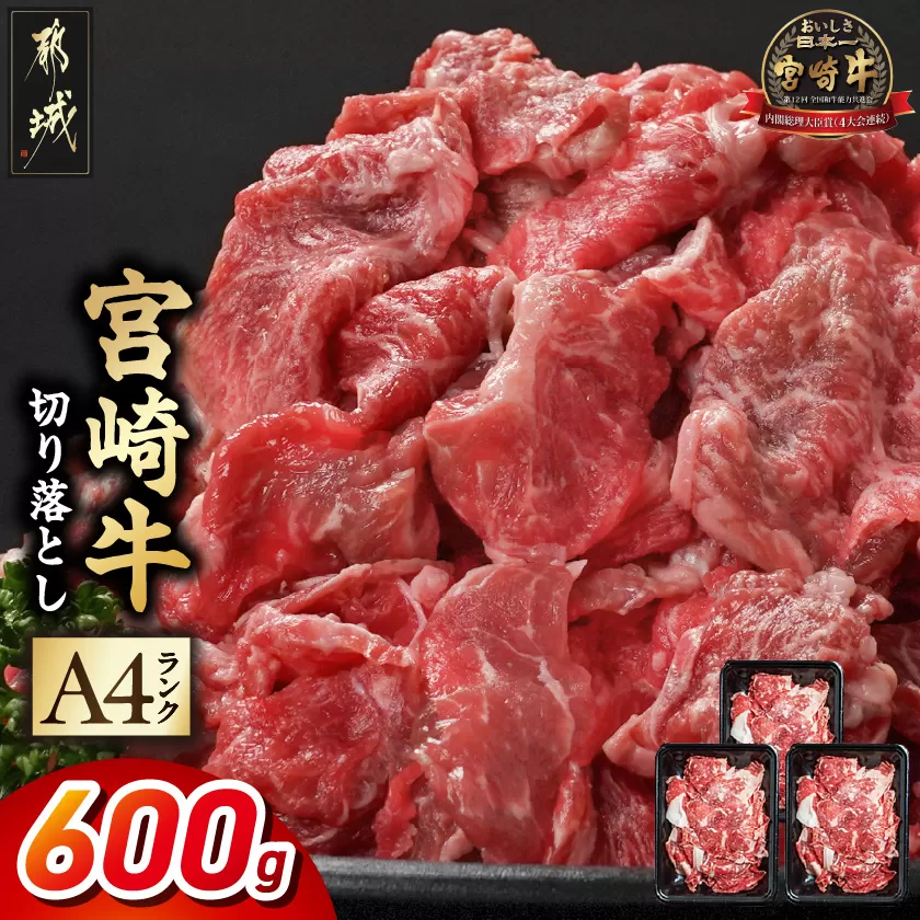 宮崎牛切り落とし600g_AA-2607