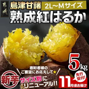 先行受付!【11月お届け】島津甘藷　熟成紅はるか 5kg(2L〜M)_LD-A701-11