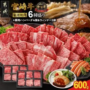 宮崎牛6種盛り焼肉食べ比べ600g+豚肉ハンバーグ&ウィンナー_21-N201-ESHW-CF