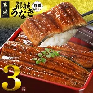 【数量限定】宮崎県育ちのうなぎ蒲焼3尾500g以上≪山椒・たれ付≫_17-M301