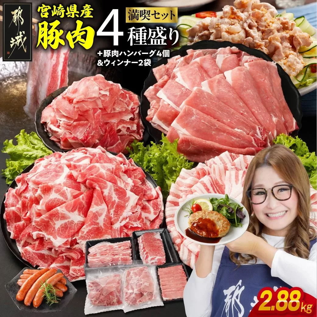 宮崎県産豚肉バラエティ2.3kgセット_14-N201