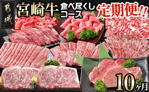 迷ったらコレ!宮崎牛食べ尽くし定期便(10ヵ月)_T120(10)-0101_(都城市) A5 5等級 牛肉 バラ 赤身 サーロインステーキ ヒレステーキ ロース 焼き肉 しゃぶしゃぶ すき焼き スライス 切り落とし