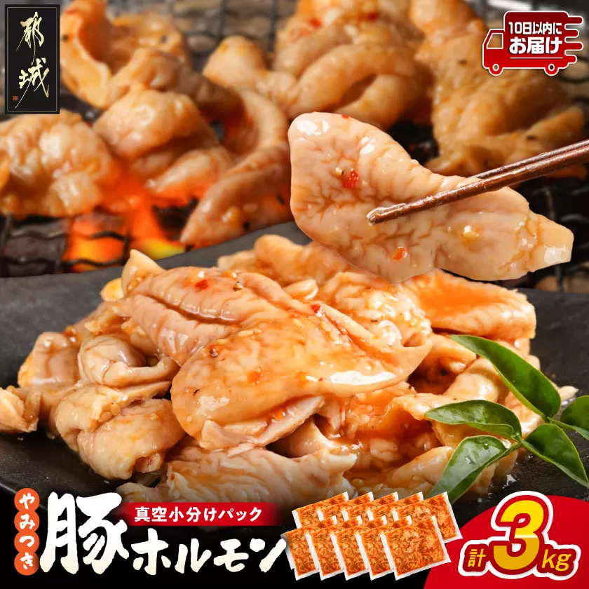 やみつき豚ホルモン!3kg!真空小分けパック!≪みやこんじょ特急便≫_LG8-3303-Q_(都城市) 国産豚 ホルモン 味付き 300g×10P 3kg 小分け 真空パック 豚肉