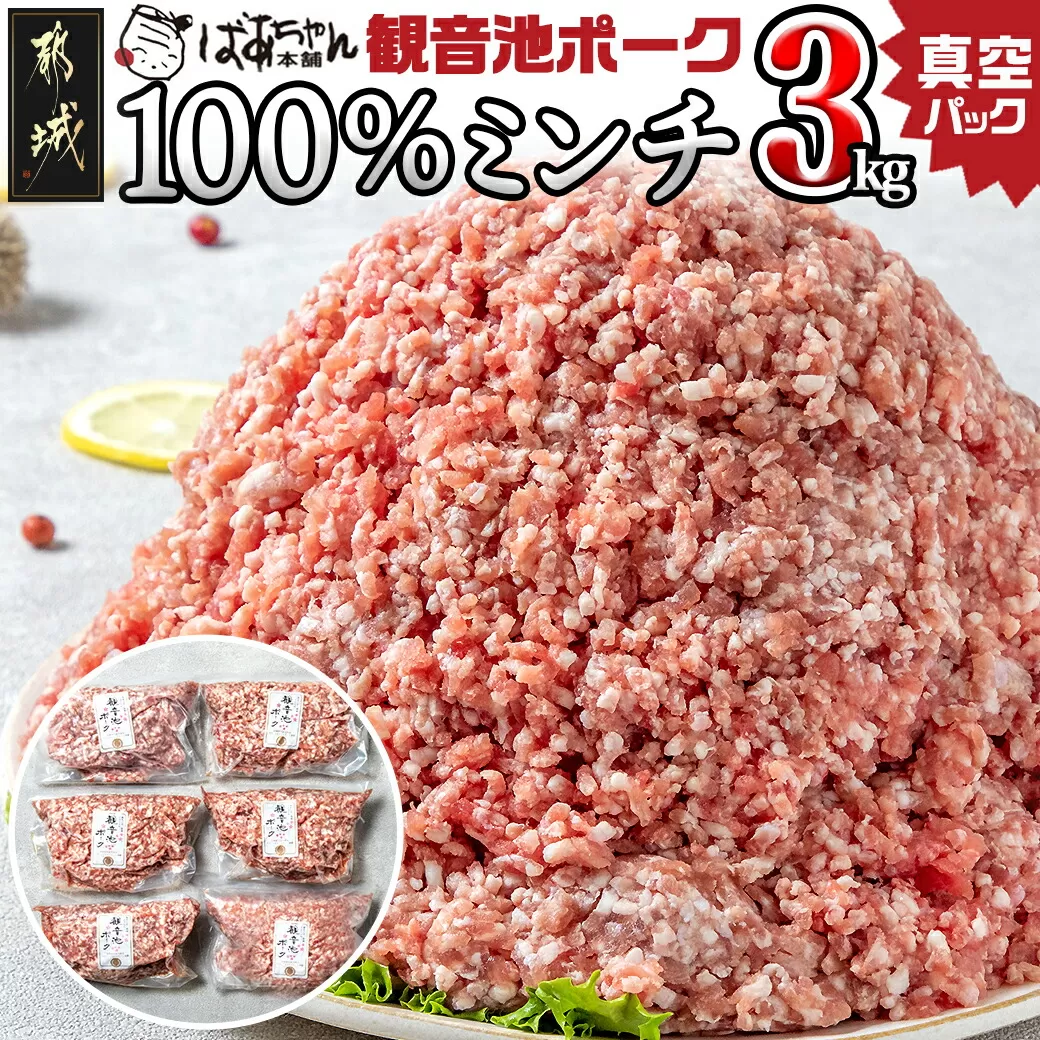 観音池ポーク100％ミンチ3kg(真空)_13-1504_ (都城市) 銘柄豚肉 豚ミンチ肉(500g×6パック) 合計3キロ 真空パック 豚ひき肉 冷凍肉 ブランドポーク 国産豚肉 観音池ポーク 豚肉 肉