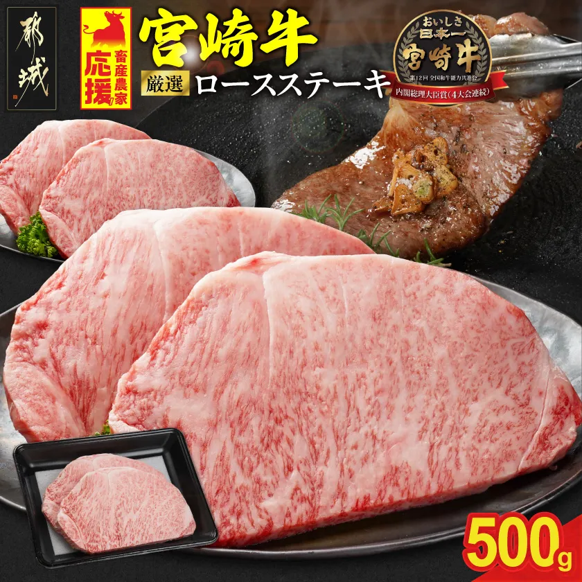宮崎牛ロースステーキ2枚 計500g_17-N2-011-500g