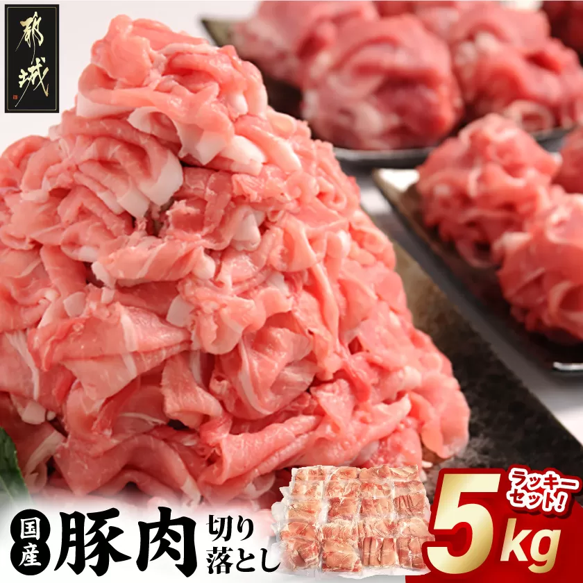 国産豚肉切り落とし5kgラッキーセット_19-3601_(都城市) 国産 豚肉 切り落とし 250g×20袋 5kg 豚肉 小分け お弁当 サラダ しゃぶしゃぶ 料理 アレンジ
