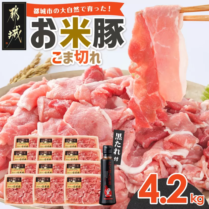 「お米豚」こま切れ4.2kg(黒たれ付)_AC-3105