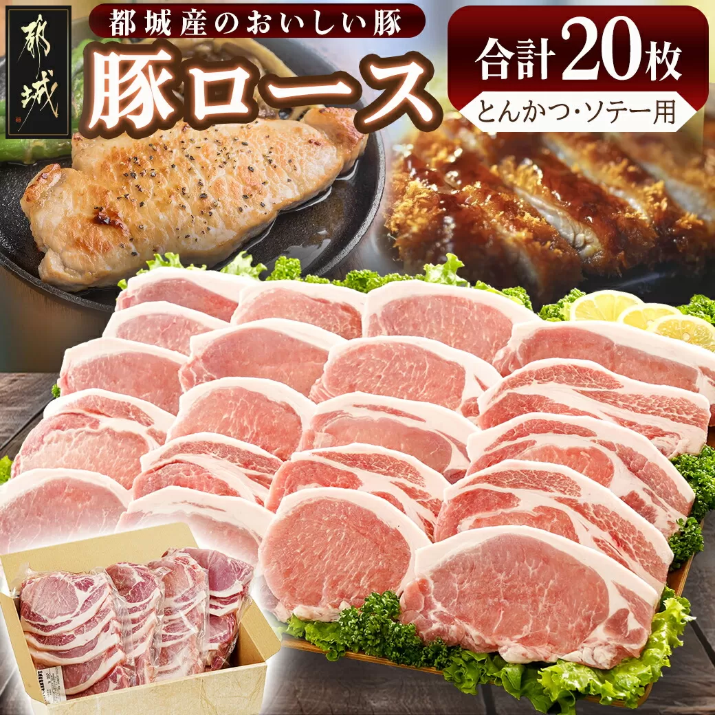 豚ロースとんかつ・ソテー用20枚 - _AA-2506_ ( 都城市 ) 豚肉 豚ロース とんかつ ソテー 100g×5枚×4パック 計20枚 豚 真空パック 冷凍保存