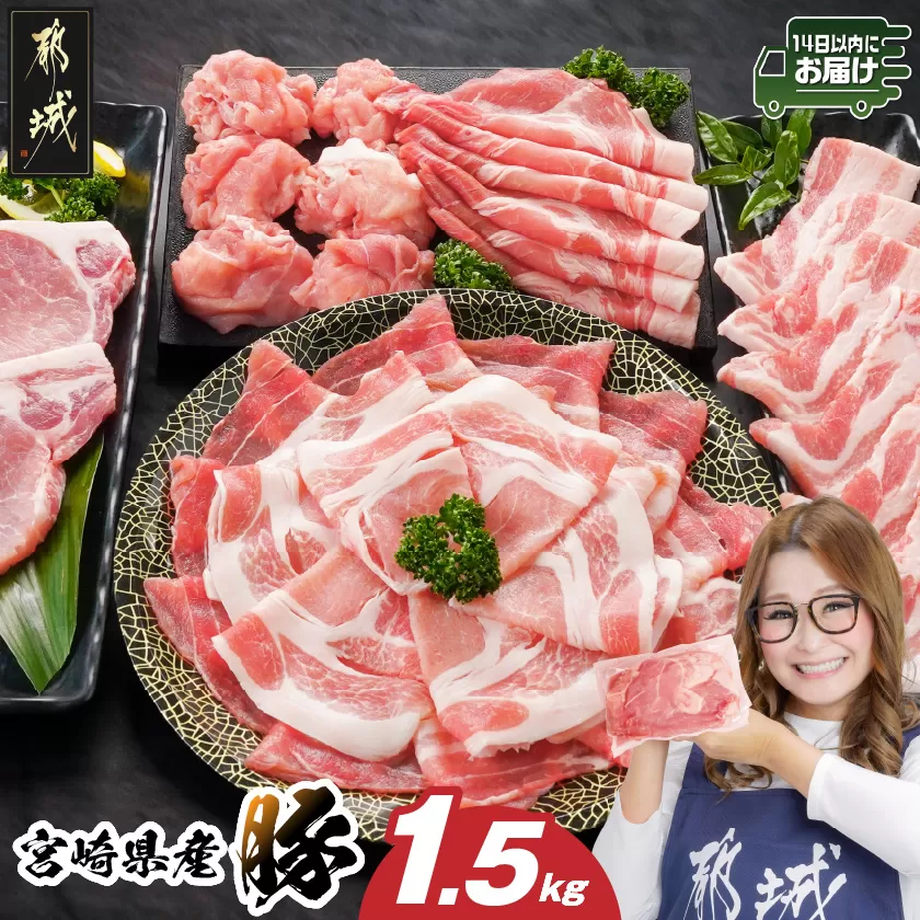 宮崎県産豚わくわく1.5kgセット(真空)≪みやこんじょ快速便≫_11-8401-s-R_(都城市) 豚肉 豚肉セット 宮崎県産豚 しゃぶしゃぶ バラ 焼肉 切り落とし 肩ローススライス ロース とんかつ ミンチ 使い勝手抜群 小分け 真空