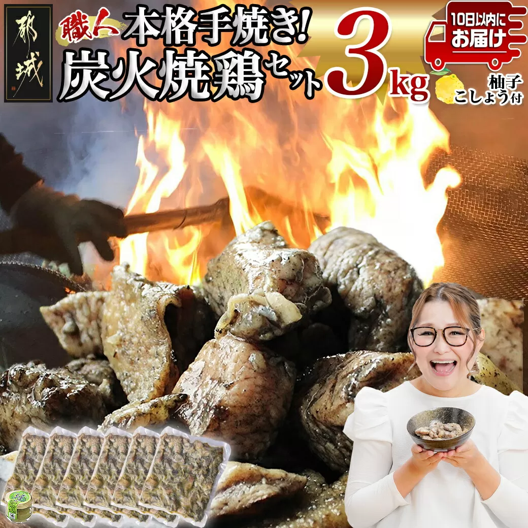 本格手焼き!炭火焼鶏3kg(ゆずこしょう付)≪みやこんじょ特急便≫_MJ-1417-Q_(都城市) リピーター続出!! 鶏肉 小分け 炭火焼き おつまみ 宮崎 冷凍 柚子胡椒 保存料不使用 ギャル曽根さんおすすめの鶏肉返礼品(炭火焼)