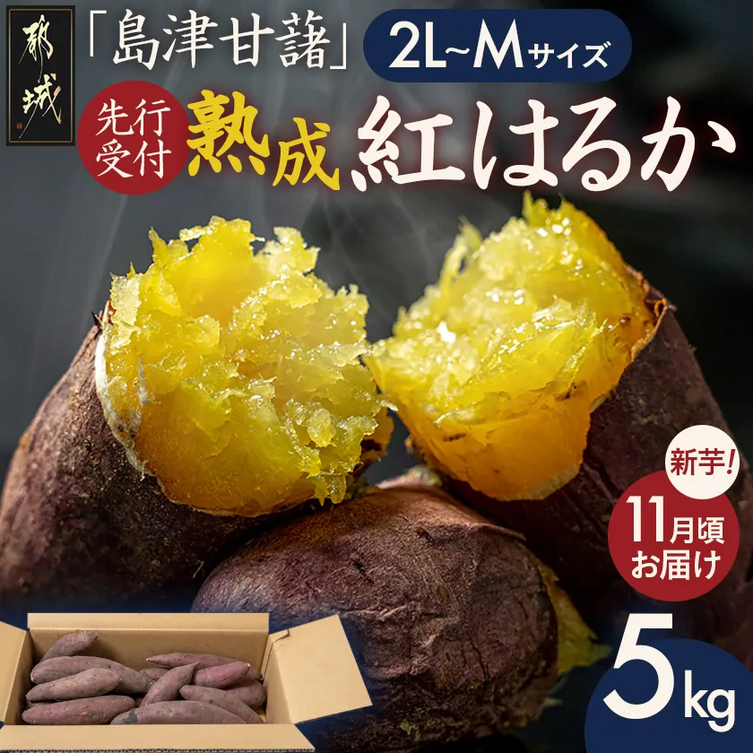 先行受付!【11月お届け】島津甘藷　熟成紅はるか 5kg(2L〜M)_LE-A7-001-5kg-11