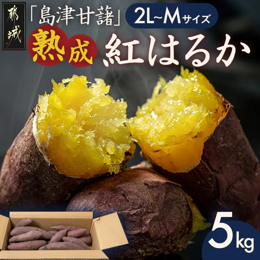 島津甘藷 熟成紅はるか 5kg(2L~M)_A7-001-5kg さつまいも 幻のサツマイモ 幻の品種 紅はるか 5kg 2L~M べにはるか 芋 生芋 焼き芋に!! ベジエイト 熟成 芋 定番 焼き芋 アウトドア