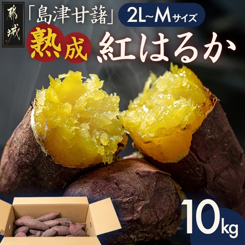 島津甘藷 熟成紅はるか 10kg(2L~M)_A7-001-10kg 島津甘藷 紅はるか 10kg サツマイモ 熟成 未選別 2L~M さつまいも 熟成 芋 定番 焼き芋 アウトドア