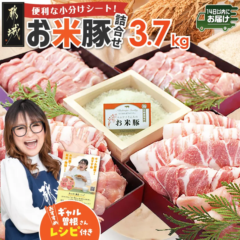 お米豚3.7kgセット≪みやこんじょ快速便≫_23-3101-R_(都城市) 豚肉 豚ロース 豚こま切れ 豚バラ肉 豚肩ロース ブランド豚 小分け シート仕切り スライス肉 14日以内にお届け ギャル曽根さんおすすめの豚肉返礼品