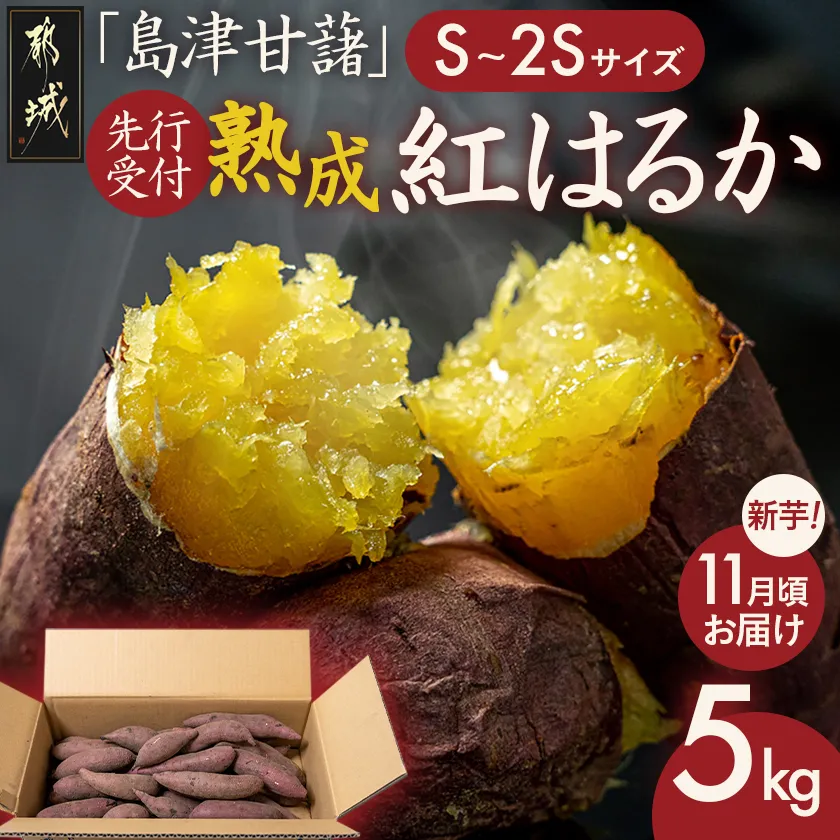 先行受付!【11月お届け】島津甘藷　熟成紅はるか 5kg(S～2S)_LE-A7-001-5kg-m-11