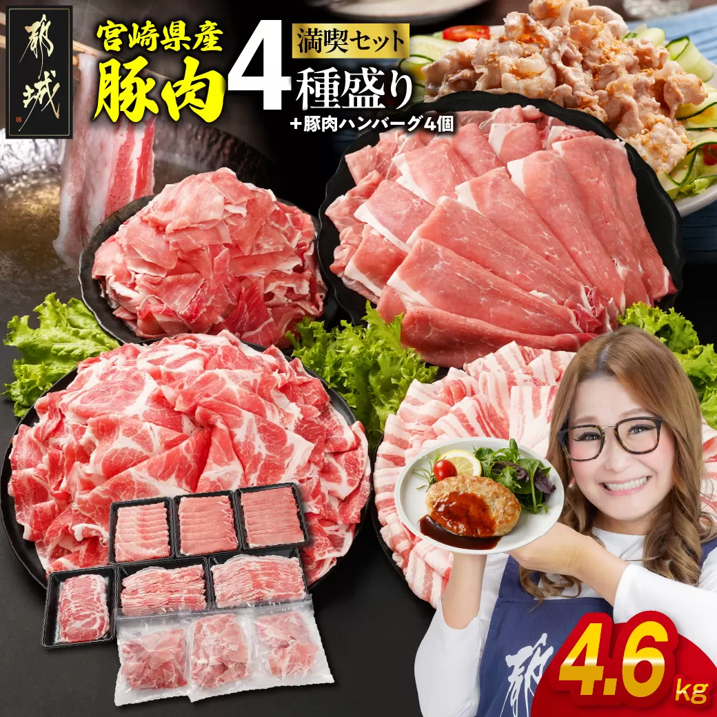 宮崎県産豚肉たっぷり4.6kgセット_AC-N202-ESH