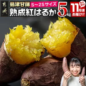 先行受付![11月お届け]島津甘藷 熟成紅はるか 5kg(S〜2S)_LD-A701-m-11