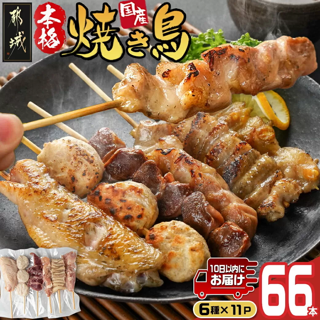 職人串打ちの本格焼き鳥66本!!≪みやこんじょ特急便≫_MJ-3312-Q