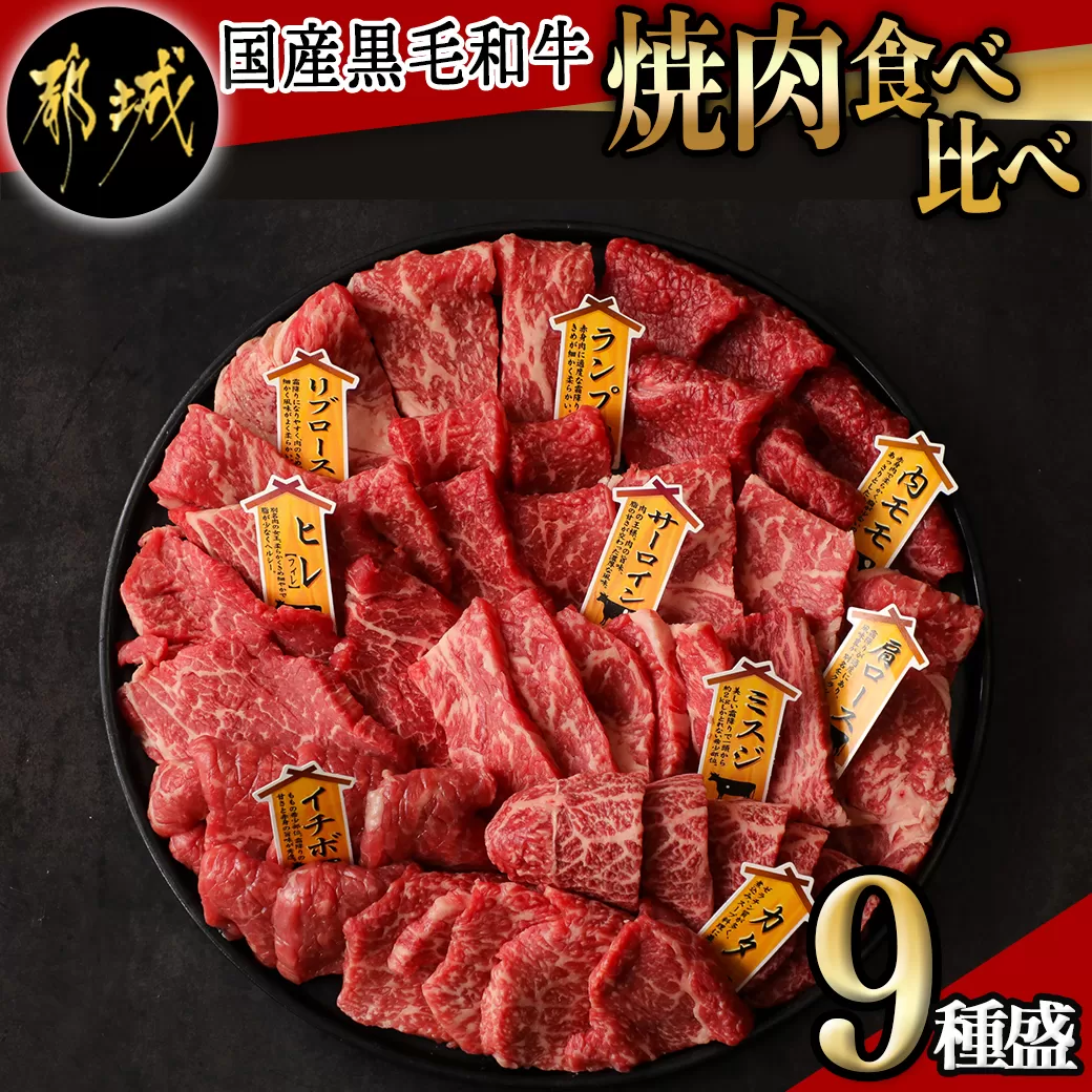 【国産黒毛和牛】焼肉食べ比べ 9種盛 各種80g_AE-E902
