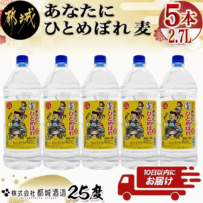 【都城酒造】あなたにひとめぼれ 麦(25度)2.7L×5本 ≪みやこんじょ特急便≫_AF-0790