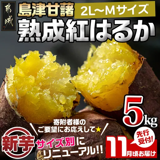 先行受付!【11月お届け】島津甘藷　熟成紅はるか 5kg(2L〜M)_LE-A7-001-5kg-11