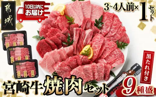 [数量限定]宮崎牛9種盛り焼肉セット≪みやこんじょ特急便≫_22-3101-Q_(都城市) 10日以内お届け スピード配送 宮崎牛 希少部位 焼き肉 BBQ ラムシン マルシン イチボ サーロイン ザブトン 肩ロース ショートリブ カルビ 内モモ ギフト 贈答 牛肉 タレ付き 肉 国産