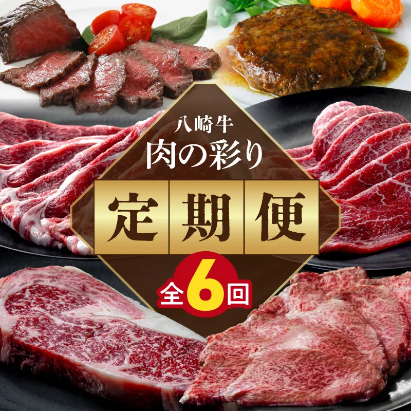 肉の彩り6ヶ月定期便 N0105-YF103