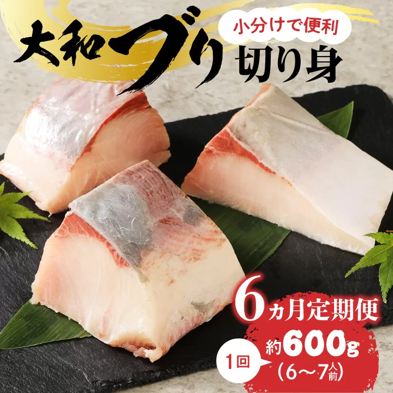 【大和海商】大和ブリの切り身6ヵ月定期便 N072-YE091