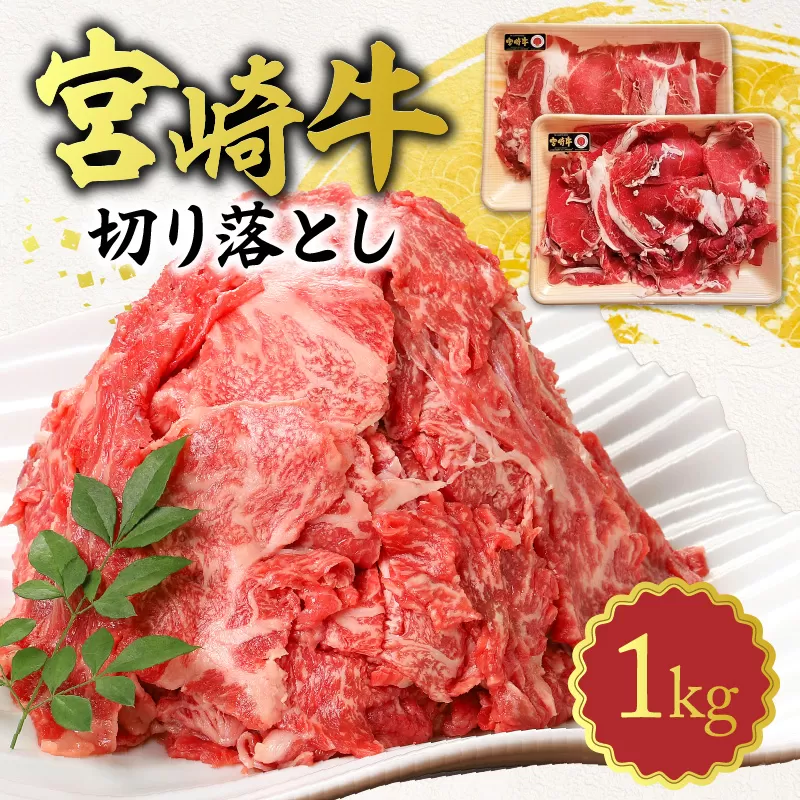 宮崎牛切り落とし1kg N0140-YA5507