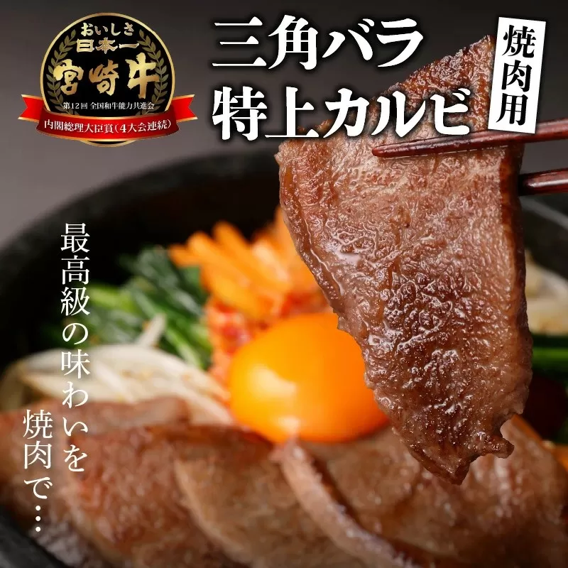 宮崎牛 特上カルビ焼肉用(三角バラ)600g N0140-YB629