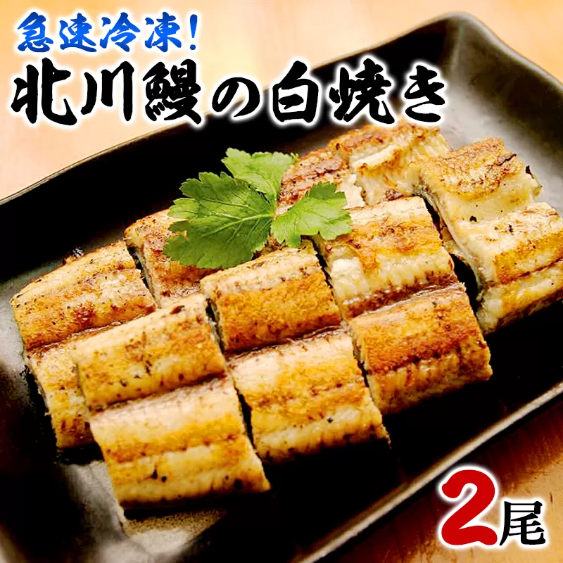【急速冷凍】北川鰻の白焼き（2尾） N010-YA665